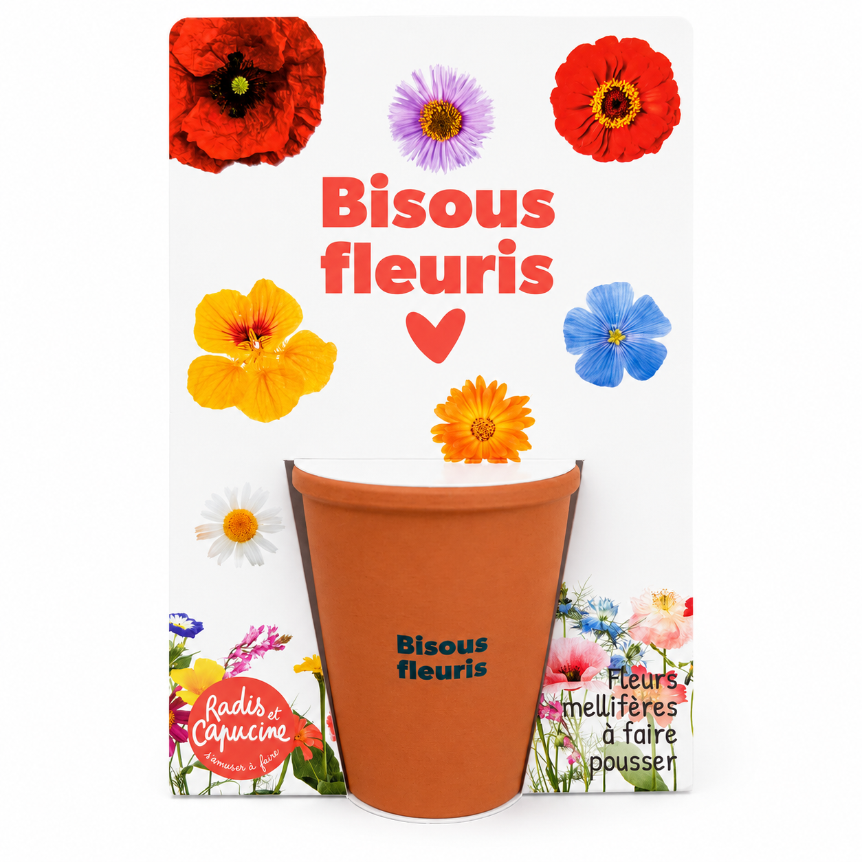 Kit de plantation fleurs - Bisous fleuris