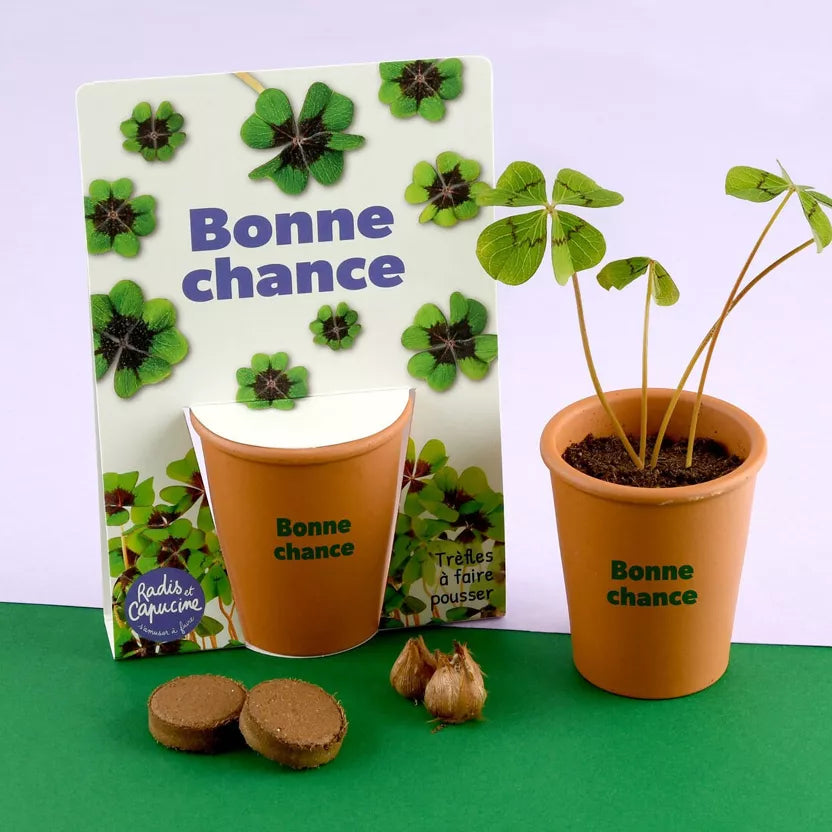 Kit de plantation trèfles à 4 feuilles - Bonne chance