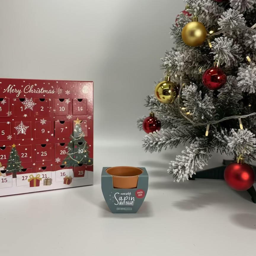 Kit de plantation "mon p'tit sapin de Noël"