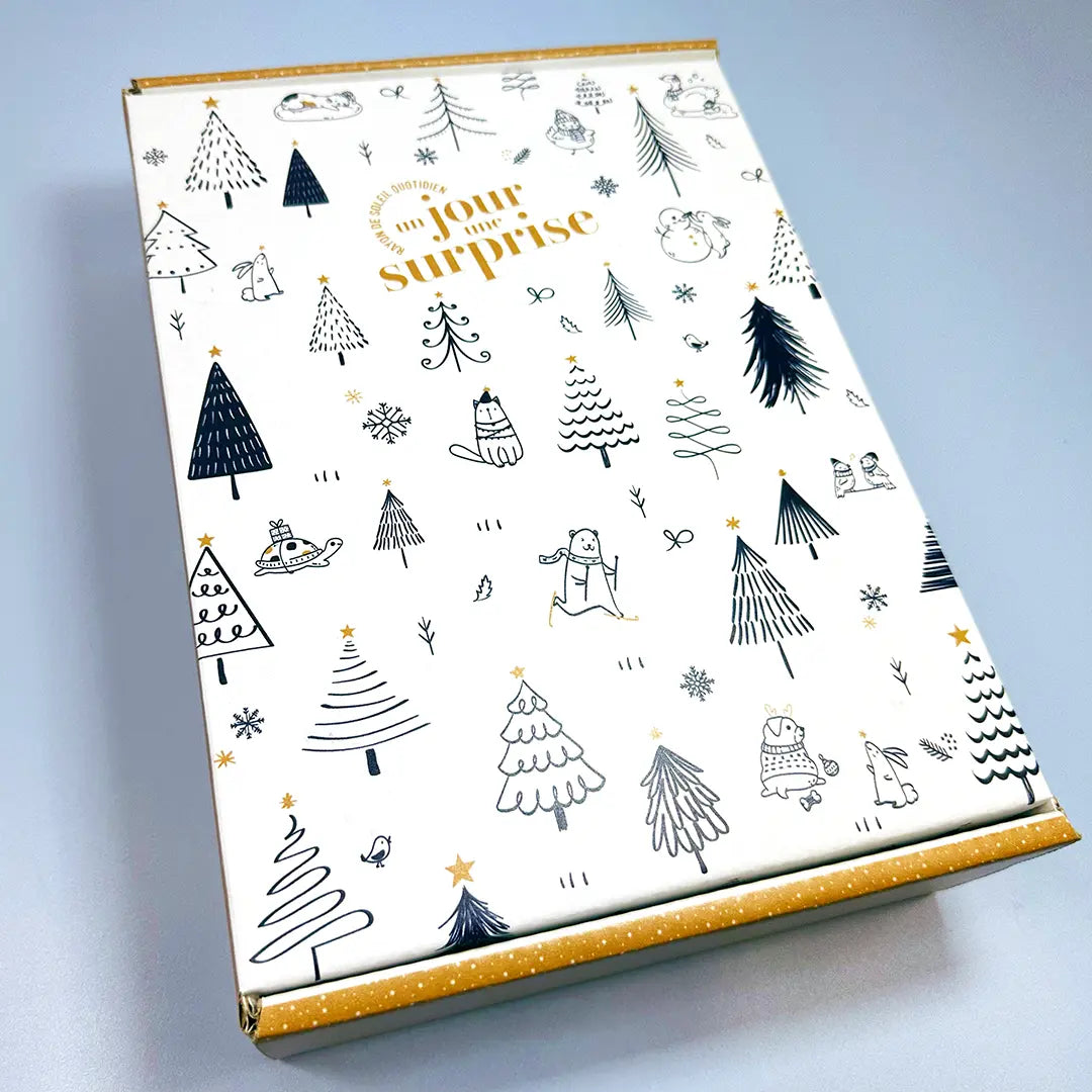 Box "Hiver enchanté" avec 1 cadeau par jour