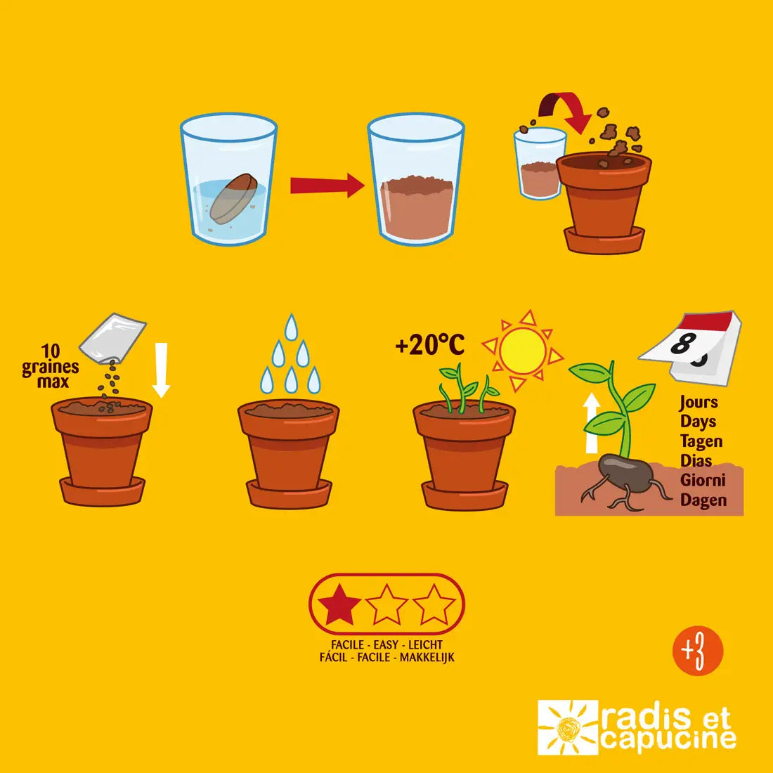 Kit de plantation de tomates bio