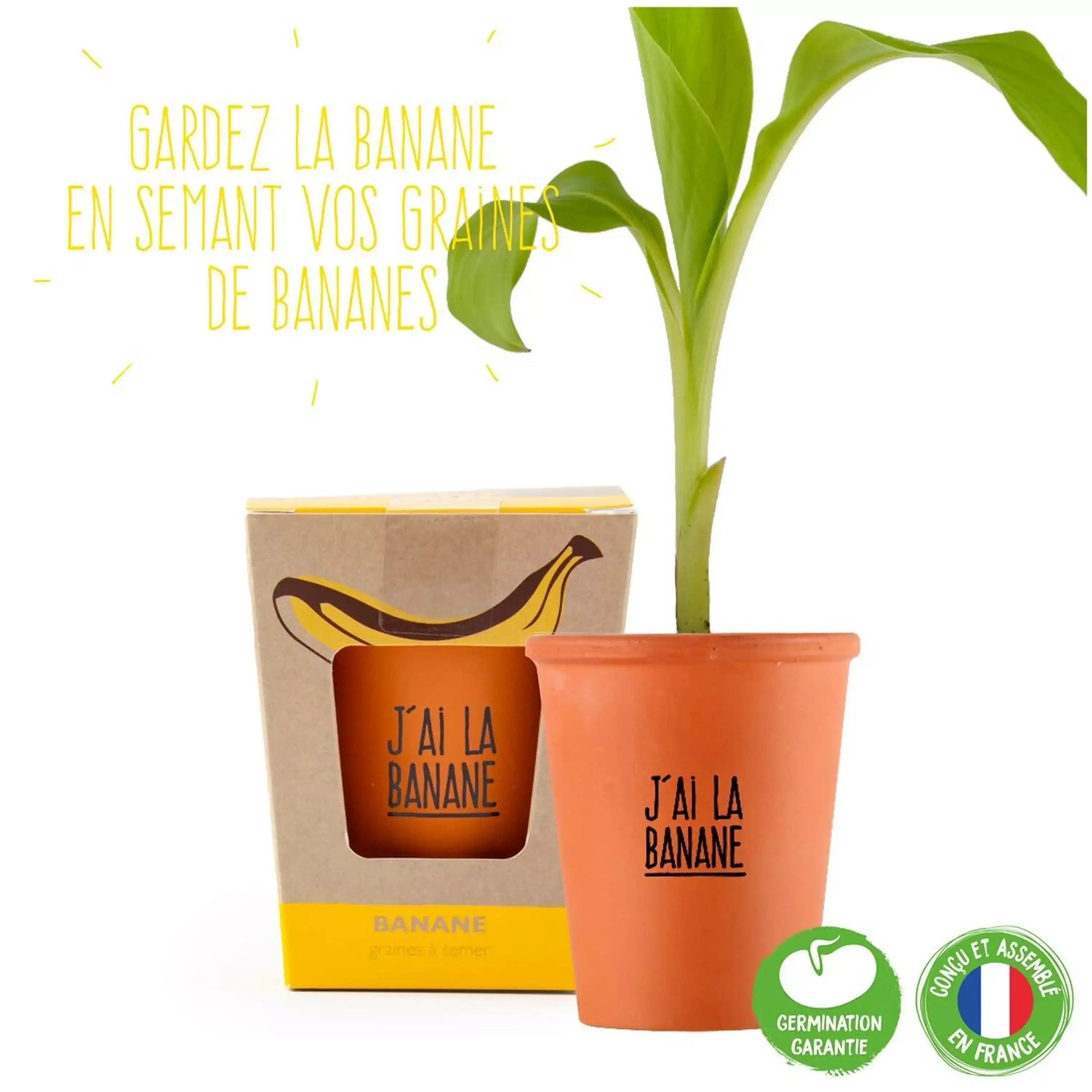 Kit de culture bananier"J'ai la banane"
