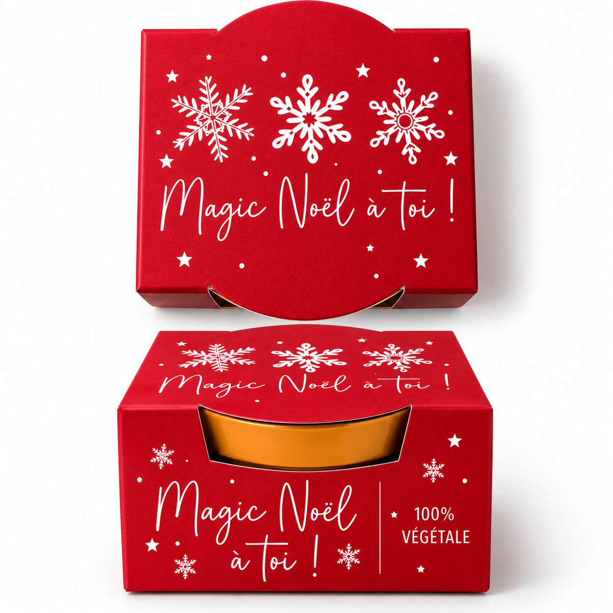 Kit de plantation "mon p'tit sapin de Noël"