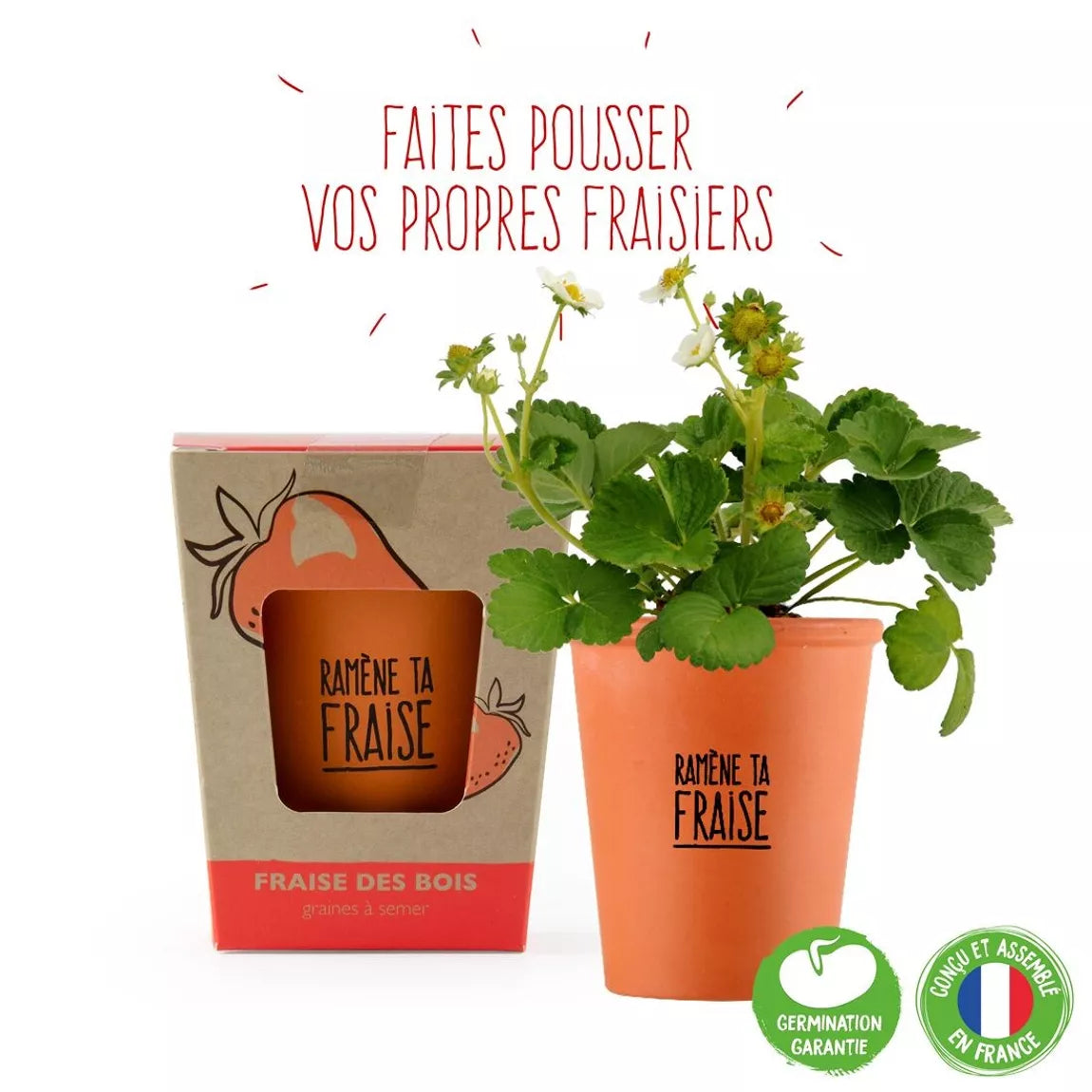 Kit de culture fraises des bois "Ramène ta fraise"