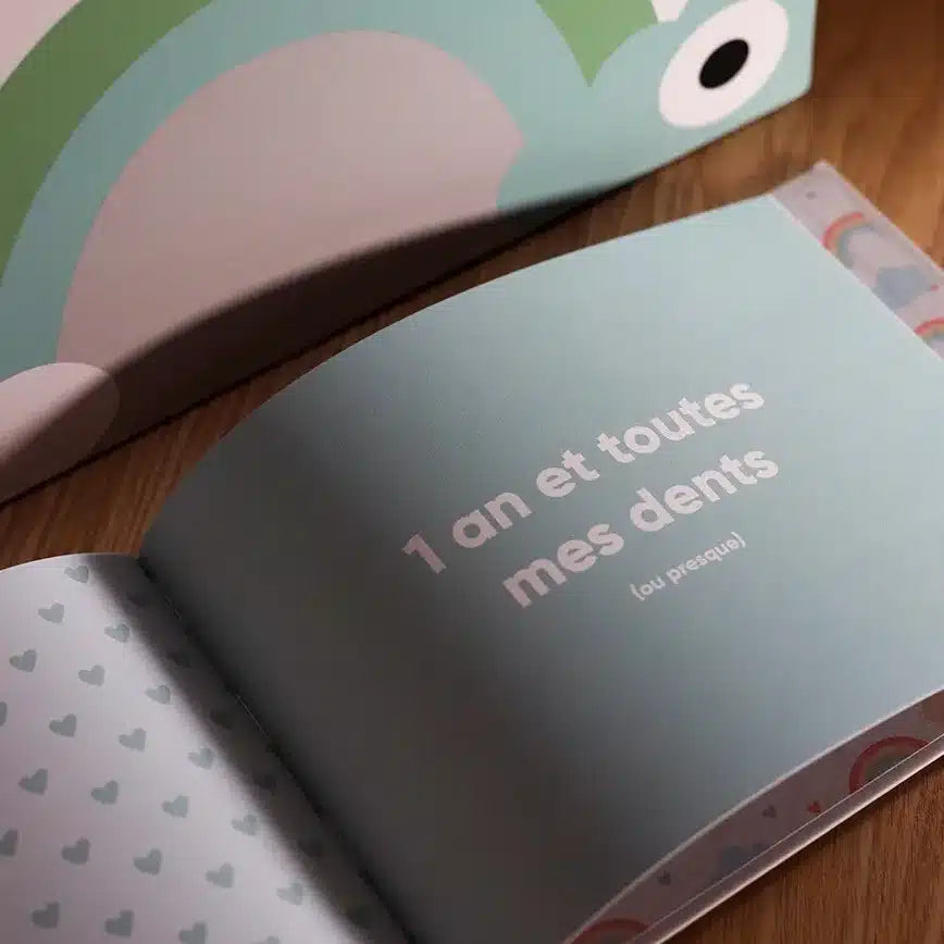 Album de naissance - cadeau naissance / famille