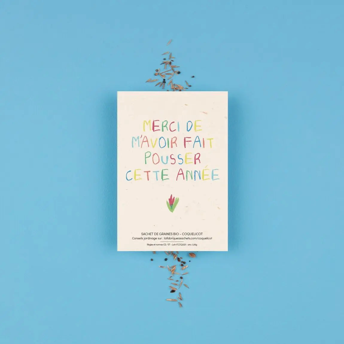 Merci de m’avoir fait pousser cette année - Sachet de graines