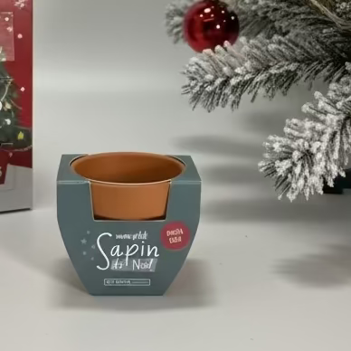 Kit de plantation "mon p'tit sapin de Noël"