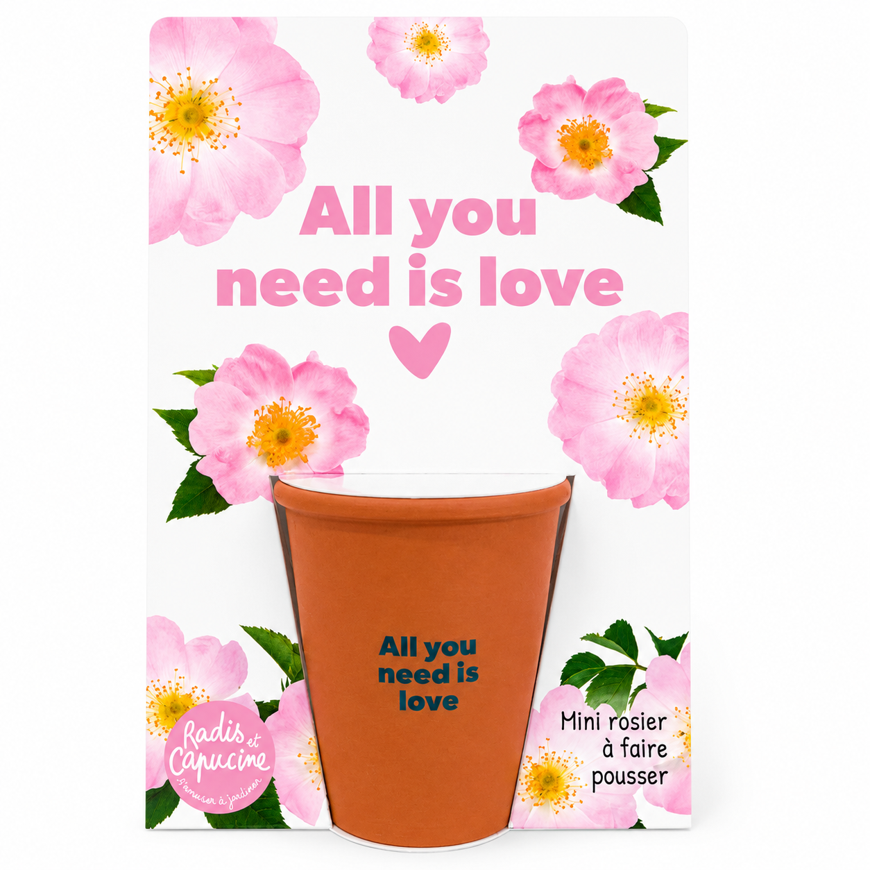 Kit de plantation fleurs - All you need is love