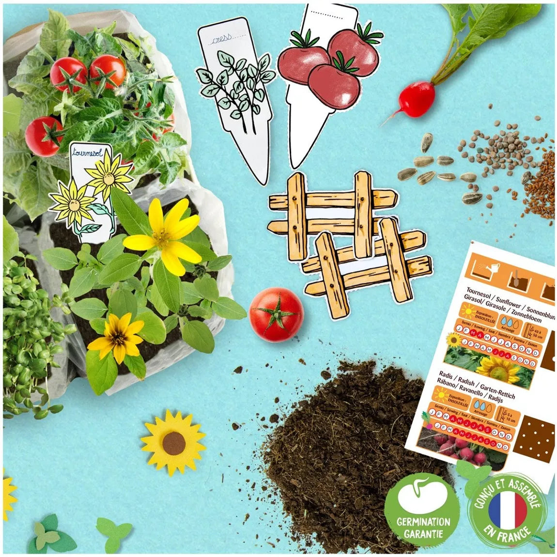 Coffret Mini Potager