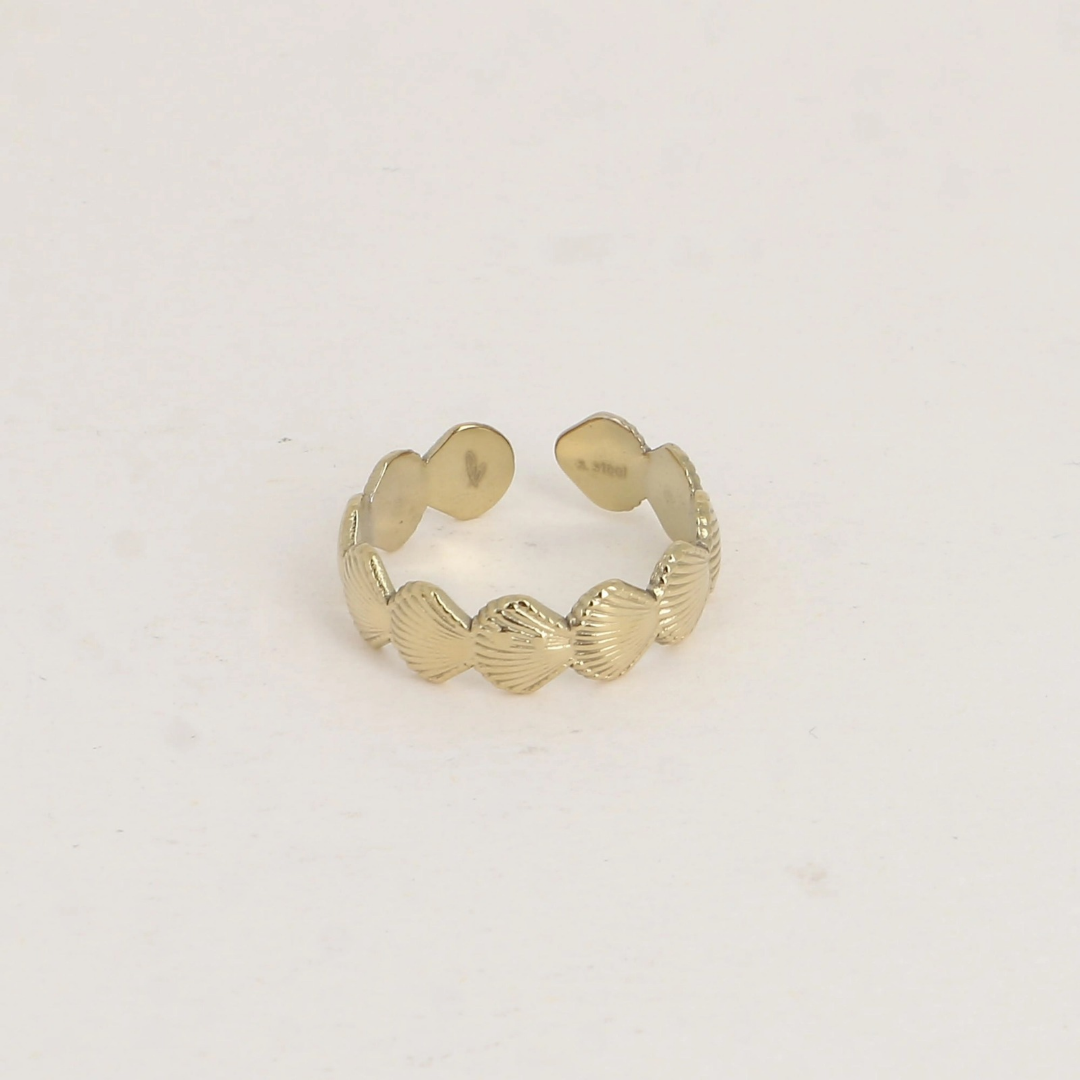 Bague acier inoxydable à rangée de coquillage