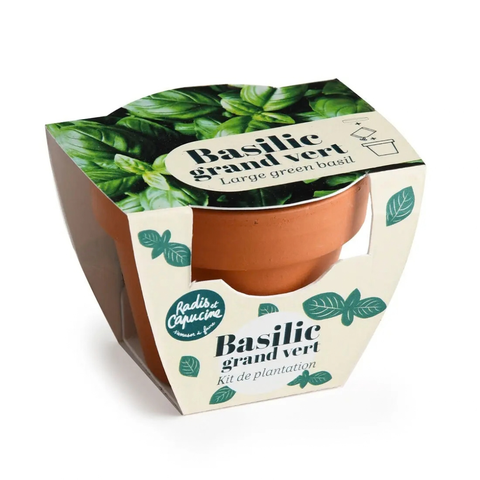 Mini kit de plantation de basilic