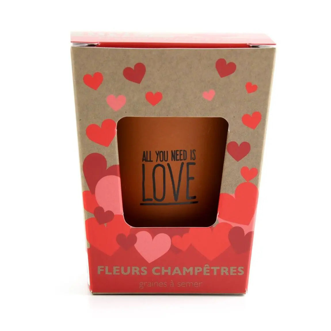 Kit de plantation fleurs - All you need is love