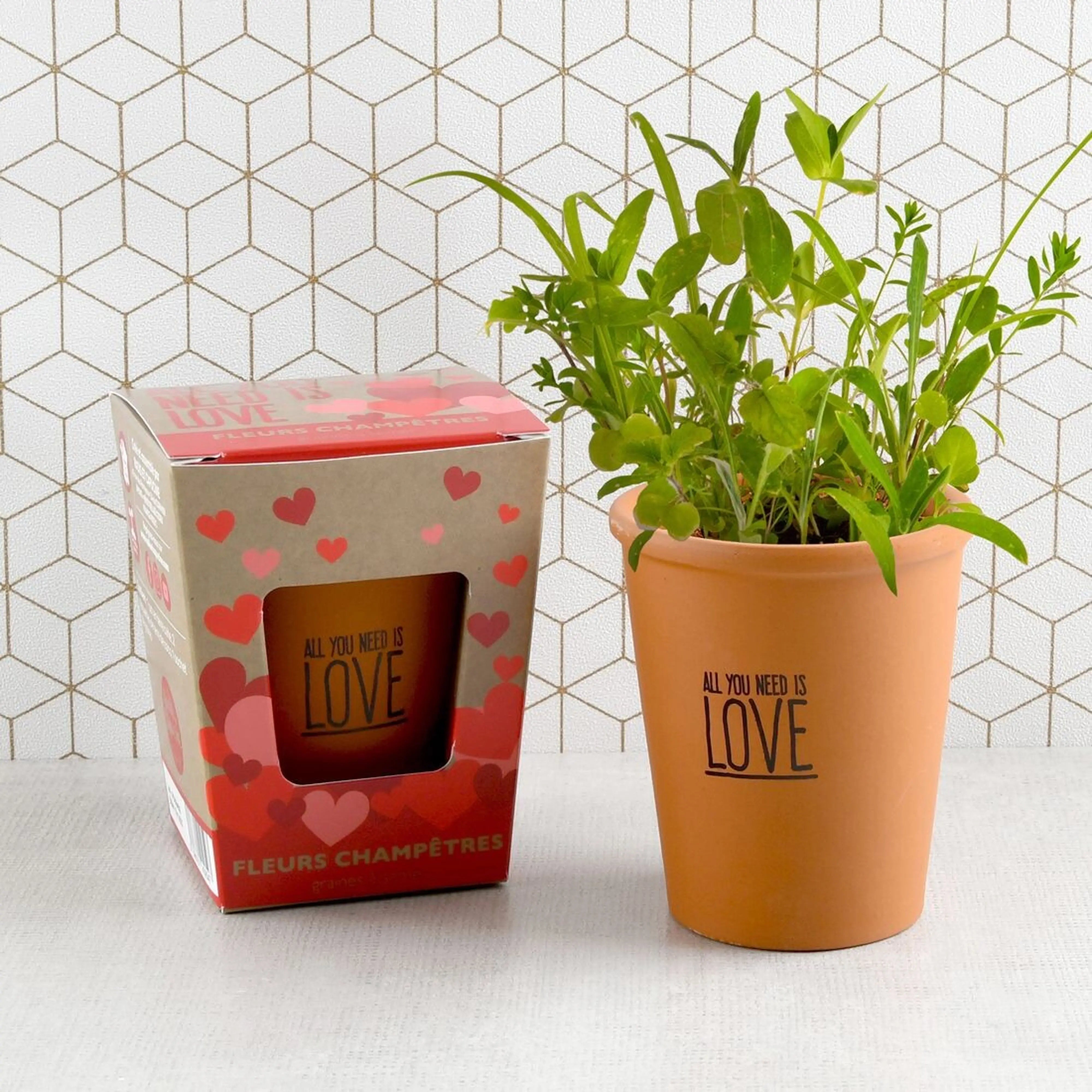 Kit de plantation fleurs - All you need is love