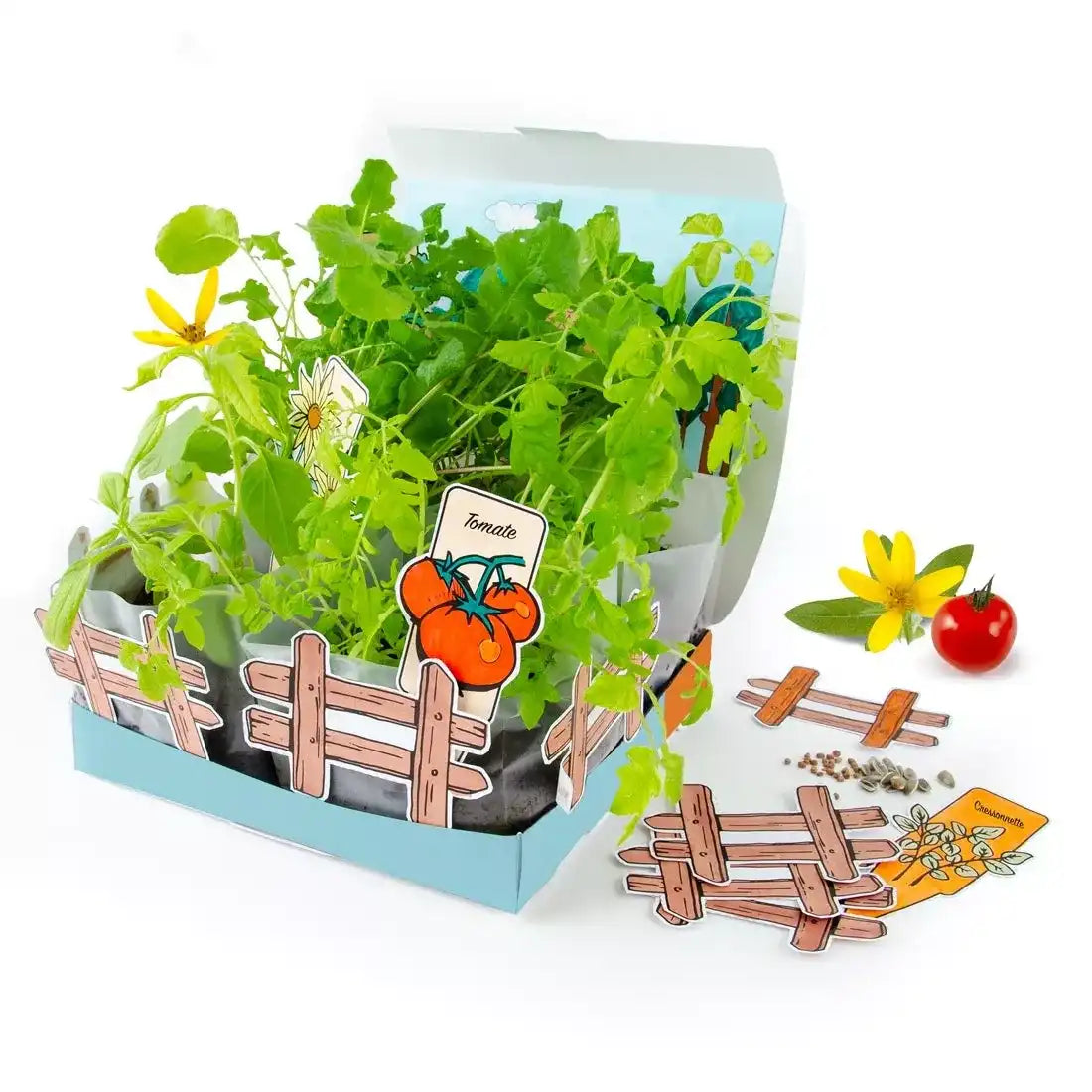 Coffret Mini Potager