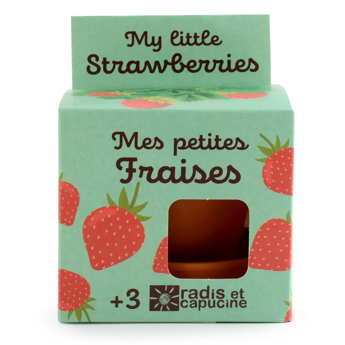 Kit de plantation de fraisier