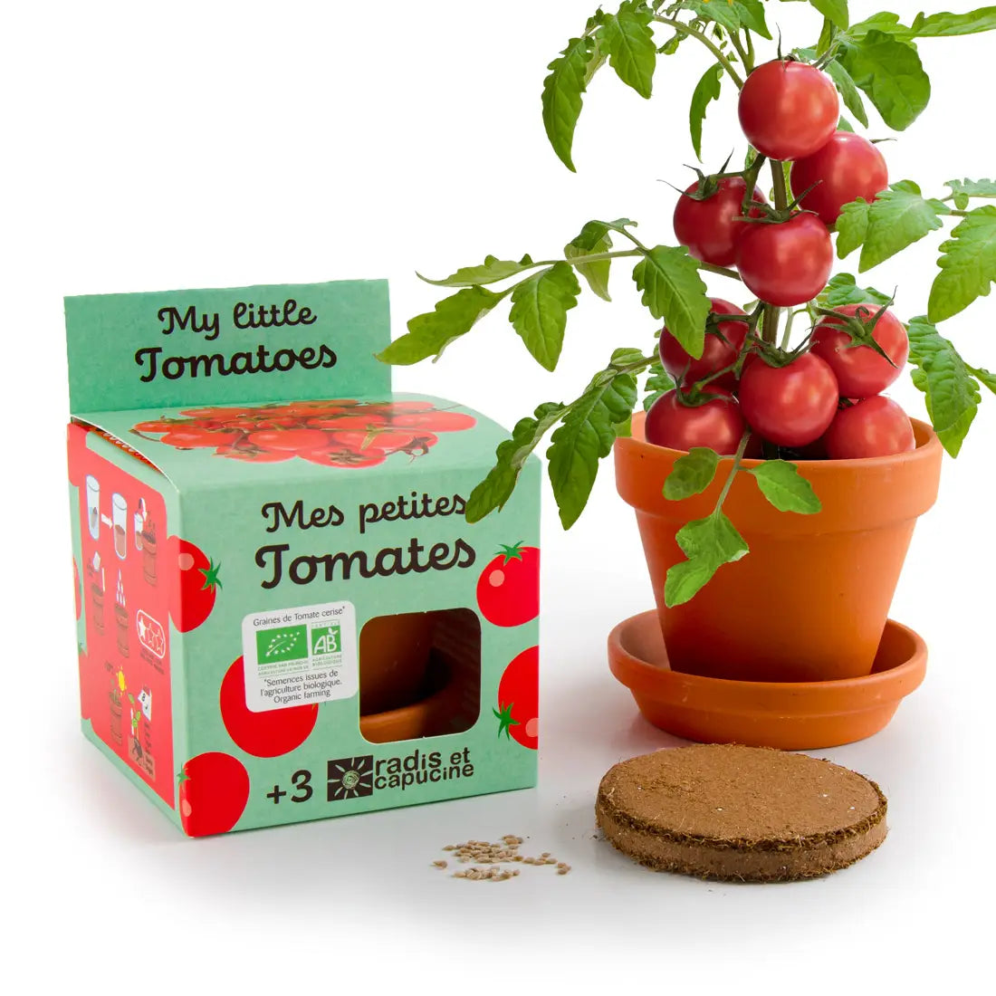 Kit de plantation de tomates bio