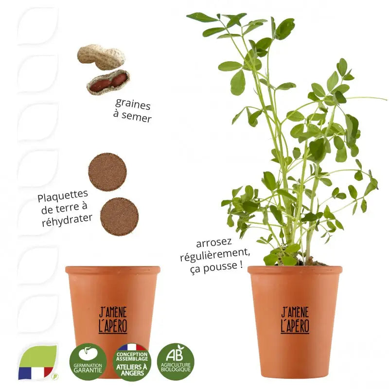 Kit de plantation de cacahuètes j'amène l'apéro