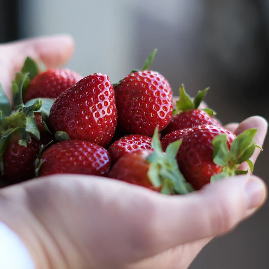 Rhum arrangé fraise et basilic