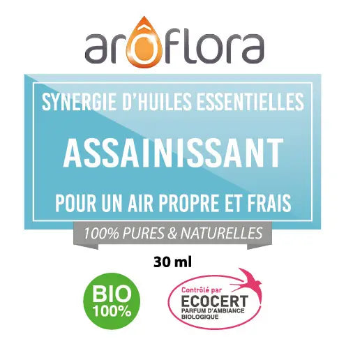 Synergies d'huiles essentielles assainissantes bio pour un air propre et frais