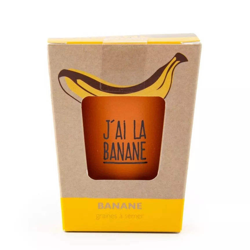 Kit de culture bananier"J'ai la banane"