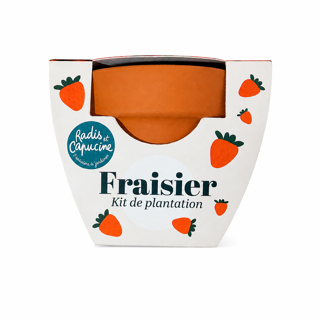Kit de plantation de fraise