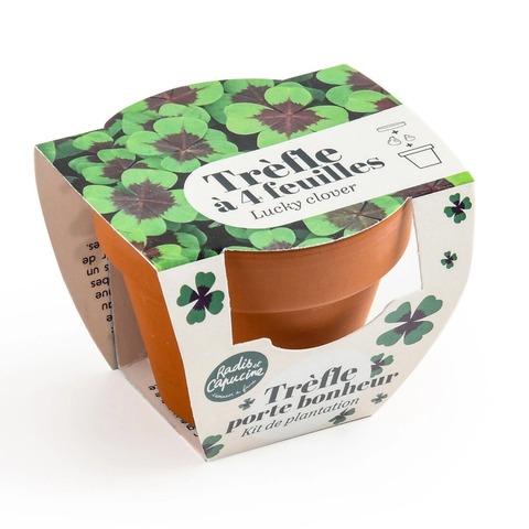 Mini kit de plantation de trèfle à 4 feuilles
